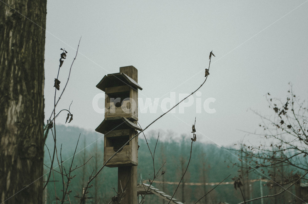 배경,배경화면,건축물,자연,풍경,감성,sensible,feeling,사물,물건,오브젝트,thing,object,matter