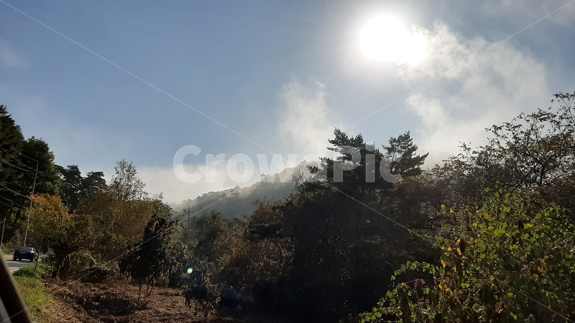 가을풍경,단풍,산행,나무,하늘,숲,풍경,자연,tree