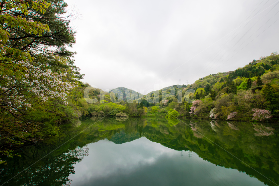 화순,세량지,봄,저수지,nature,자연,water,물,lake,호수,자연,풍경,nature,landscape