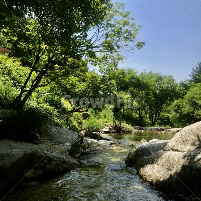 여름,계곡,시원한,그늘,자연,여름,계절,summer,season,자연,풍경,nature,landscape,water,물,outdoors,옥외,stream,흐름,creek,작은 만