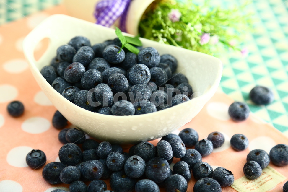 블루베리,베리,과일,blueberry,berry,fruit,food,sweet,fresh,음식,식재료,요리,food,cook,meal,dishes,food reserves,과일,열매,fruit