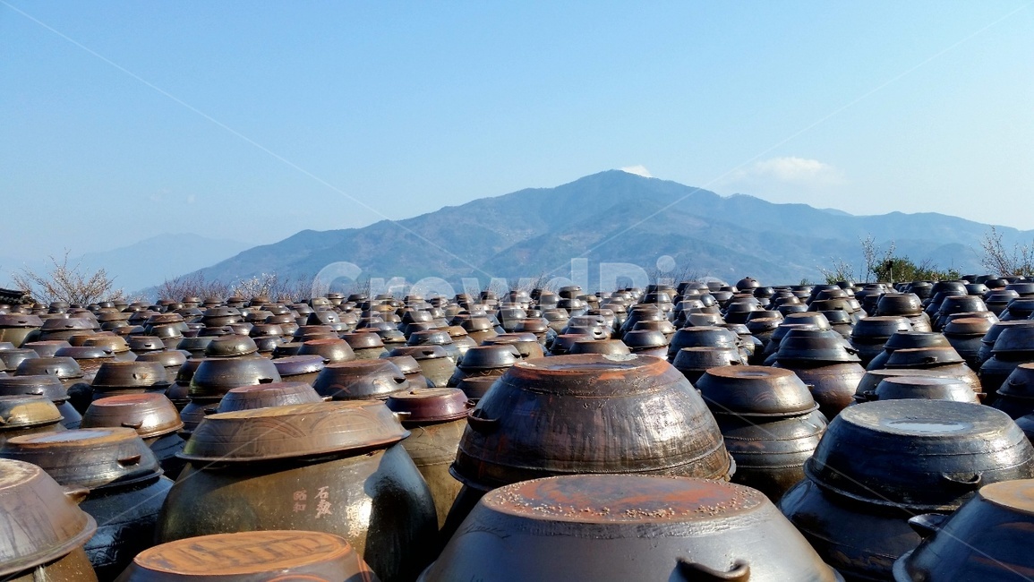 항아리,자연,산,봄,장독대,한국전통,한국문화,korean traditional,korean culture