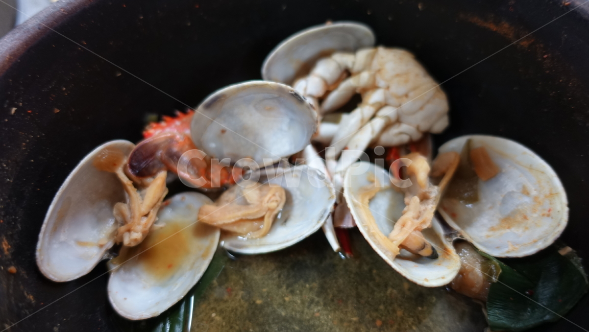 음식,dish,food,meal,shell