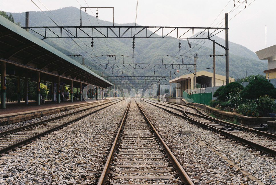 기차,열차,기찻길,철도,철로,풍경,필름,감성,train,railway,railroad,film,교통,교통수단,traffic,transportation