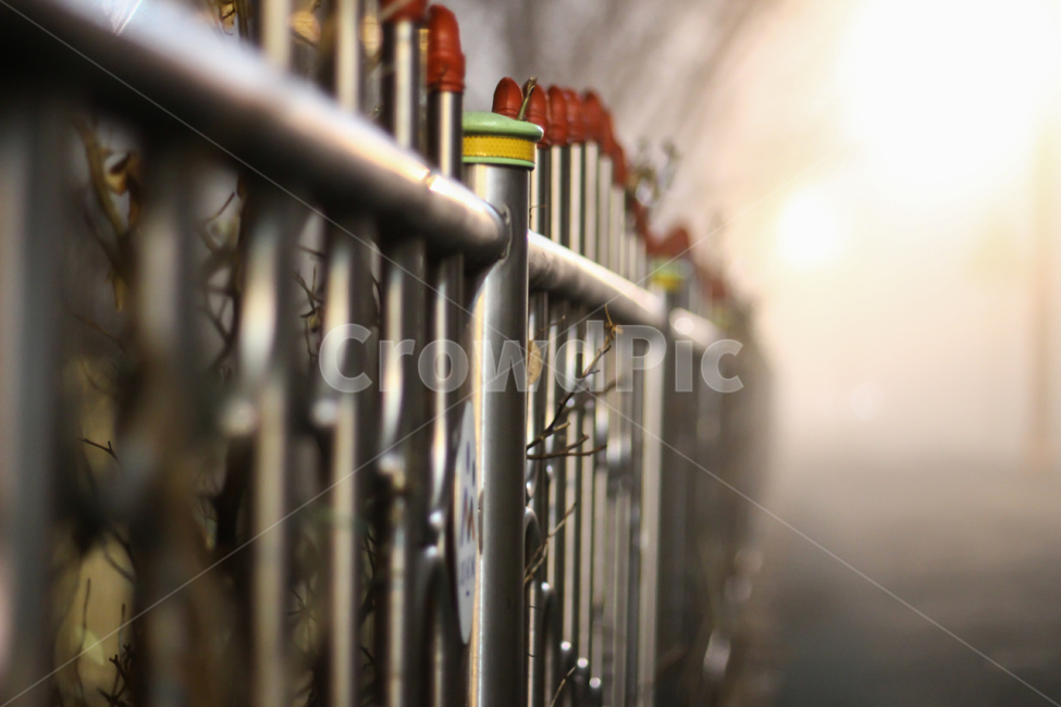밤풍경,nightview,울타리,공원,안개,보케,야경,밤,풍경,nightscape,night,landscape,감성,sensible,feeling,railing,난간,banister,handrail