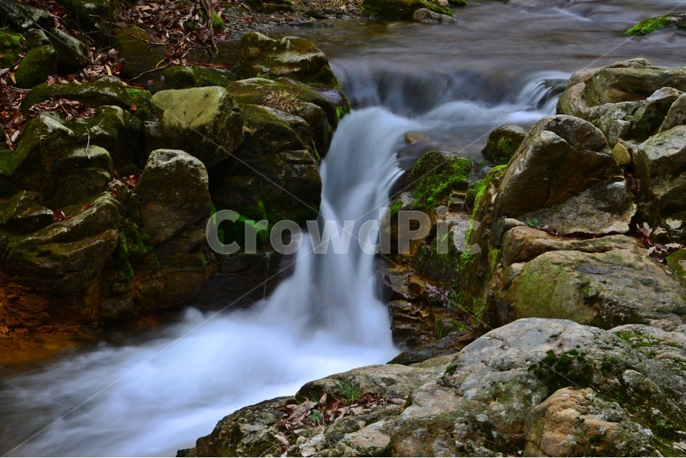 water,물,nature,자연,outdoors,옥외,stream,흐름,승주,선암사,선암사계곡,계곡,물흐름