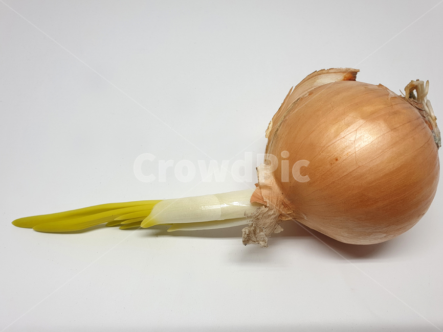 양파,다마네기,채소,야채,vegetable,누끼,식재료,식자재,요리재료,음식재료,요리,cook,레시피,recipe,오브젝트,object,식물,plants,음식,식재료,요리,food,cook,meal,dishes,food reserves,채소,야채,vegetables