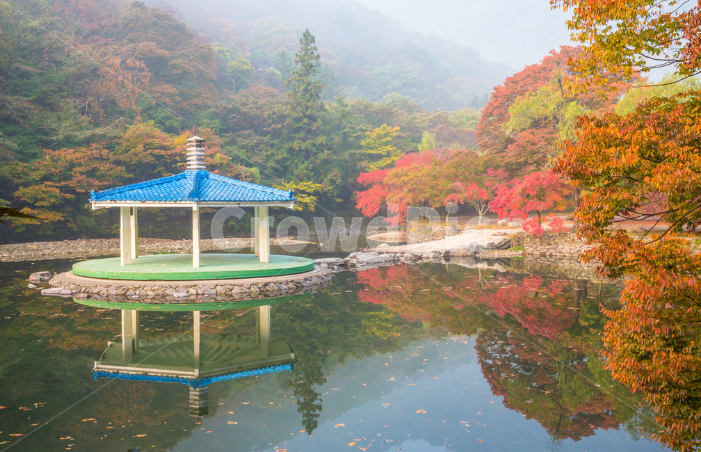 자연,풍경,경관,계절,가을,단풍,단풍길,낙엽,추경,만추,울긋불긋,단풍나무,나무,공원,절,사찰,내장사,내장산,산,국립공원,정자,팔각정,물,호수,연못,도솔천,반영,우화정,청기화,안개,아침,leaf,잎,식물,plant,전망대,gazebo,징검다리,돌다리