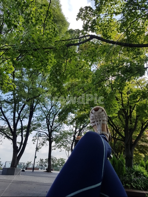 발,다리,초록,하늘,나무