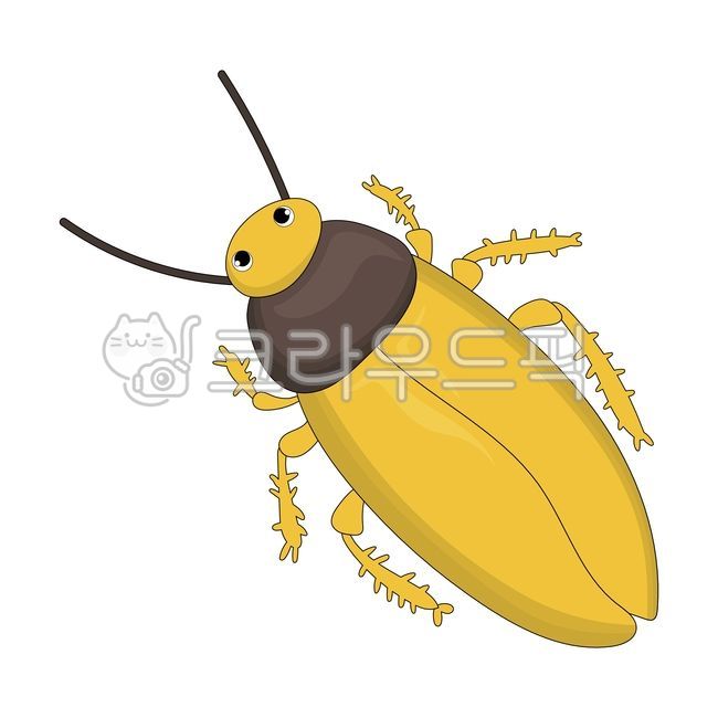 곤충,동물,벌레,바퀴벌레,해충,날개,더듬이,절지류,노랑,갈색,옐로우,브라운,버그,딱정벌레,벡터,일러스트,클립아트,디자인,그래픽,테마,귀여운