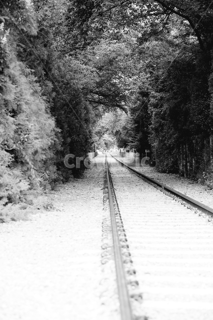 rail,레일,railway,철도,traintrack,기찻길