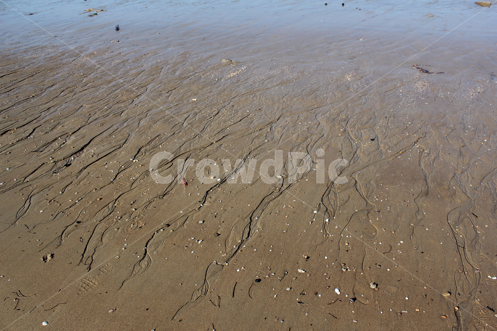 beach,brown,detail,earth,ground,mud,mudflat,nature,sand,soil,waterstreak,해안가,갈색,브라운,땅,흙,모래,모래사장,해변,자연,진흙,갯벌,모래밭,바닷가,자연,풍경,nature,landscape,해변,바다,beach,sea,outdoors,옥외,water,물,shoreline,해안선