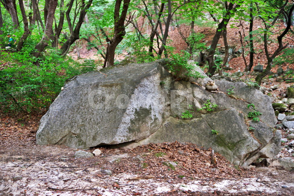 영지명문바위,마애명,청평사,춘천,오봉산,음각,고승,오도송,바위,암석,자연,풍경,nature,landscape,ground,바닥,tree,나무,plant,식물