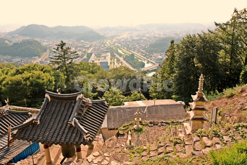 전주,jeonju,동고사,donggosa,temple,도시,풍경,city,landscape,한국도시풍경,한국도시경관,korea cityscape,한국전통,한국문화,korean traditional,korean culture,roof,지붕,tree,나무,plant,식물,fir,전나무,abies,아비