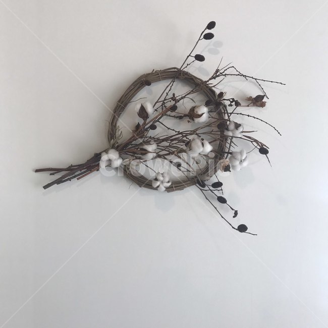 목화,식물,인테리어,꽃,벽걸이