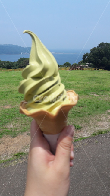 녹차아이스크림,소프트콘,일본,공원,아이스크림,디저트,간식,후식,dessert,snack