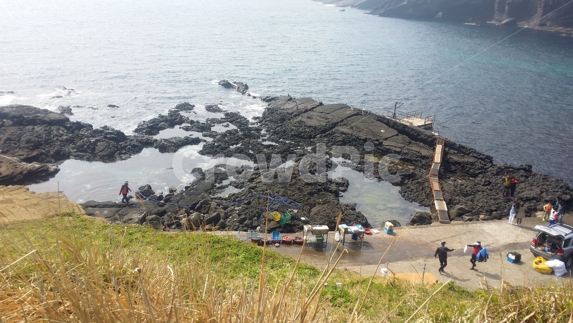 제주도,jejuisland,해산물,해녀,바다