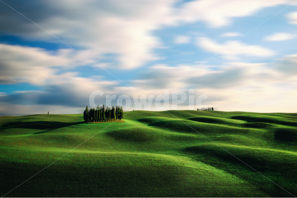 풍경,겨울풍경,이탈리아토스카나,밀밭,하늘,자연,풍경,nature,landscape,해외,외국,세계,foreign,oversea,world,세계자연풍경,해외자연풍경,외국자연풍경,world nature landscape,field,들,outdoors,옥외