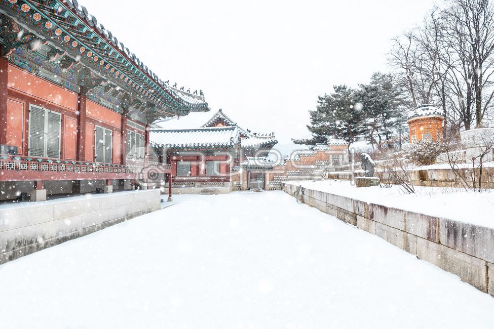 경복궁, 한국적인, 한국전통, 궁, 문화재, 사진,이미지,일러스트,캘리그라피 - Lupin작가