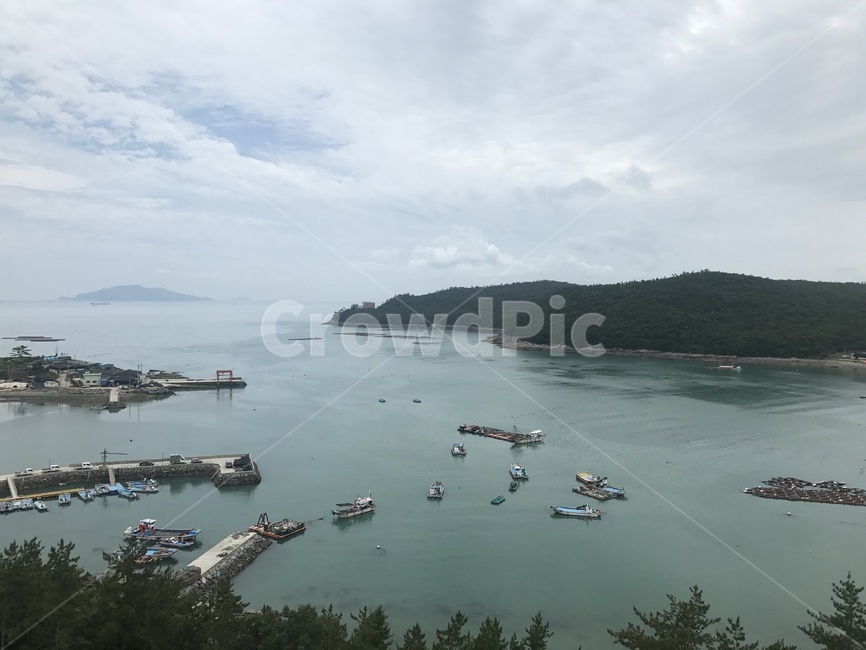 water,물,nature,자연,land,outdoors,옥외,shoreline,해안선,ocean,대양,sea,바다,완도