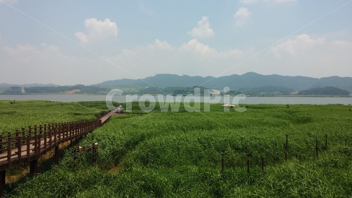 outdoors,옥외,nature,자연,field,들,가을,산책,나들이,자연,풍경,nature,landscape