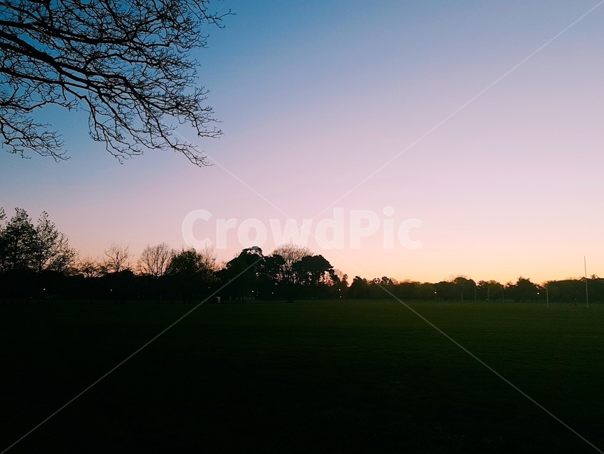 새벽,공원,산책,아침,해,일출,나무,하늘,자연,park,morning,sky,tree,nature