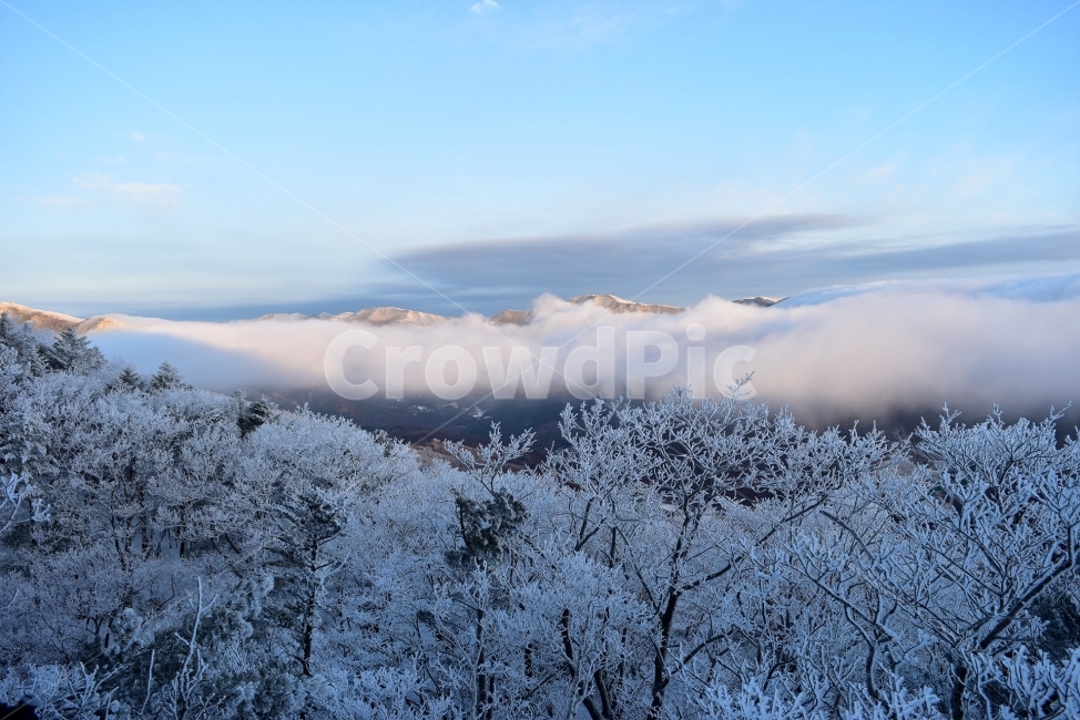 태백산,설경,상고대,눈꽃,풍경,겨울,겨울왕국,서리꽃,눈,천제단,자연,스포츠,등산,산행,nature,snow,설국,겨울풍경,느낌,아름다운,신비로운,경이로운,다큐,필,디자인,힐링,명산,국립공원,순백,landscape,winter,season,운해,영산,겨울,계절,winter,season,자연,풍경,nature,landscape,한국자연풍경,한국자연경관,korea nature landscape,ice,얼음,outdoors,옥외