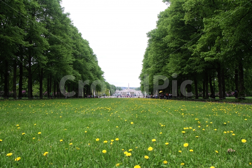 풍경사진,공원,해외사진,노르웨이,꽃,자연,풍경,nature,landscape,해외,외국,세계,foreign,oversea,world,outdoors,옥외,field,들,grassland,목초지,rural,농촌,farm,농장,meadow