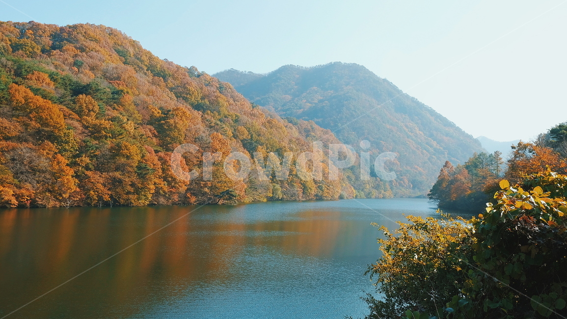가을,단풍,자연,풍경,강,저수지,산,가을,계절,fall,autumn,season,자연,풍경,nature,landscape,water,물,outdoors,옥외
