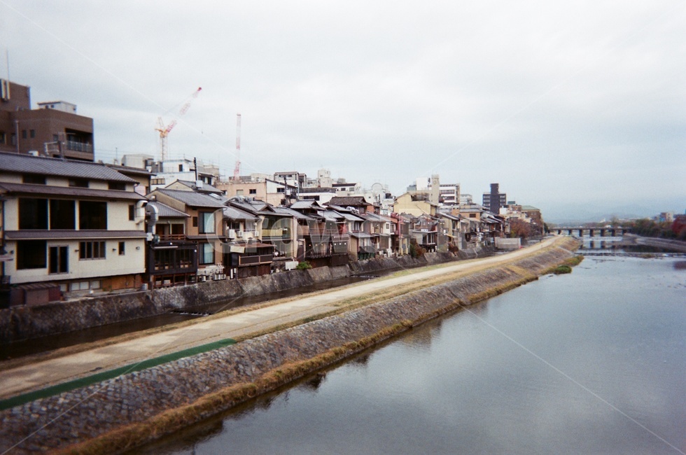 kyoto,japan,Kyoto,japanese autumn,Japanese building,building,trail,Kamogawa River,Street,autumn,river