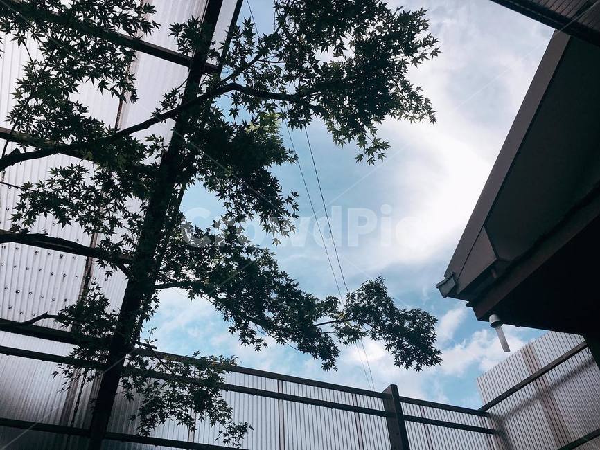 유후인,온천,하늘,후쿠오카,일본,yufuin,onsen,japan,건축물,건물외관,exterior,building,structure,architecture,construction