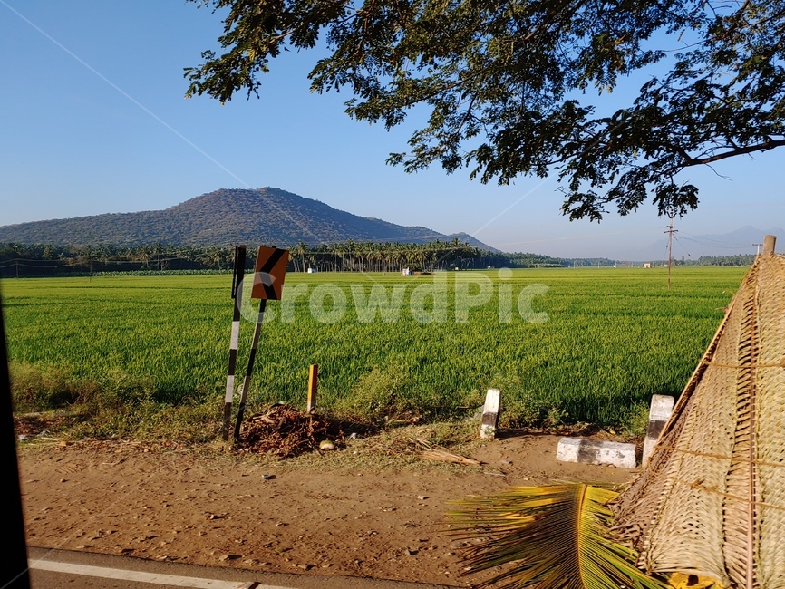 nature,자연,outdoors,field,grassland,들
