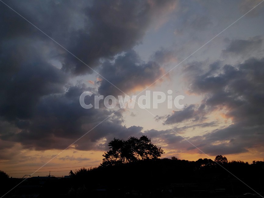 자연,구름,나무,노을,sunset