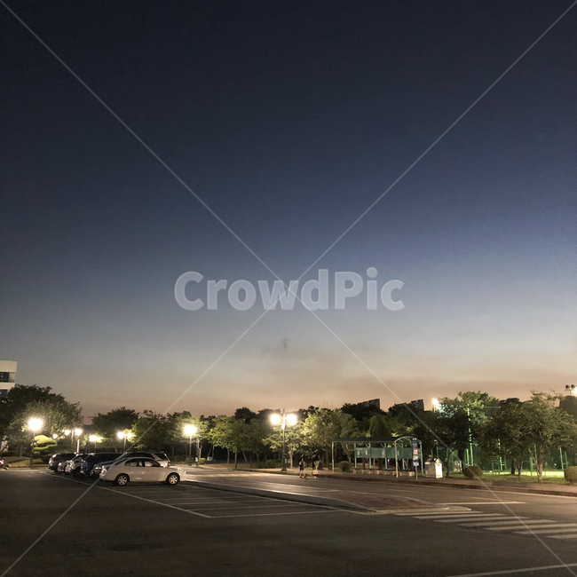 일상,밤,하늘,산책,도로,야경,밤,풍경,nightscape,night,landscape,road,intersection,교차로,asphalt,아스팔트