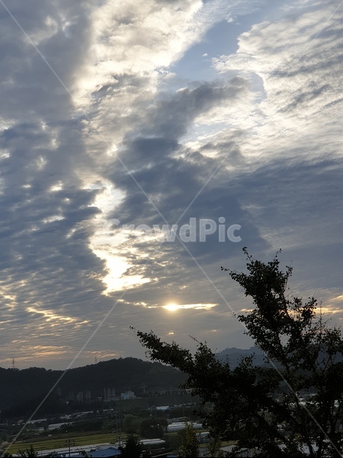 나무,구름,자연,cloud,tree,nature,자연,풍경,nature,landscape,outdoors,옥외,light,빛,flare,플레어