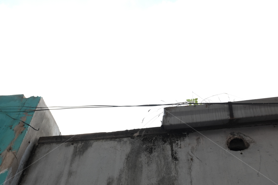 담,담벼락,벽,낡은,빛바랜,풀,구멍,전선,wall,fence,grass,old,faded,빈티지사진,빈티지느낌,빈티지감성,vintage