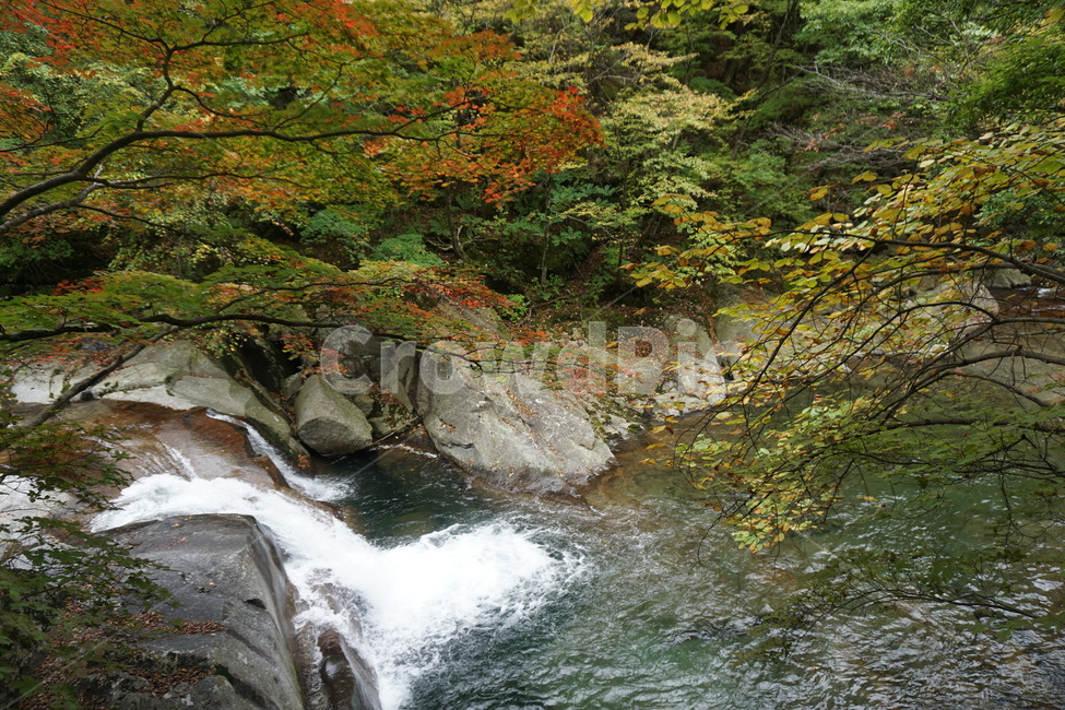 water,물,stream,흐름,outdoors,옥외,nature,자연,풍경,landscape,view,계속,한국,지리산,가을,낙엽,korea,touristattraction,fall,autumn,autumnleaves,등산로,valley,mountain,산속,등산,산