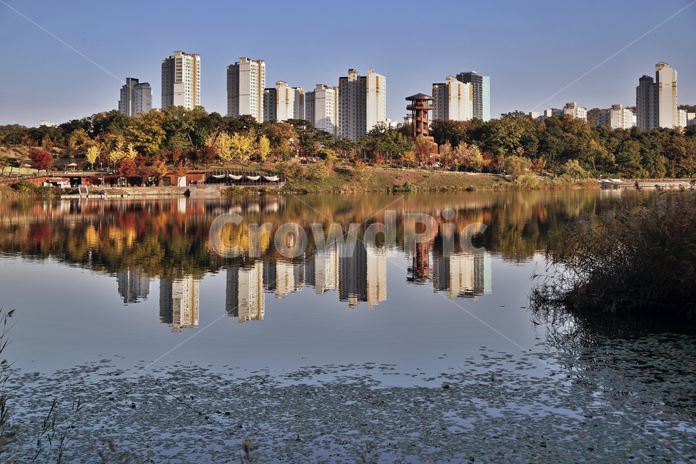 광교호수공원,영통,수원,공원,아파트,원천저수지,반영,가을,갈대,도시,풍경,city,landscape,한국도시풍경,한국도시경관,korea cityscape