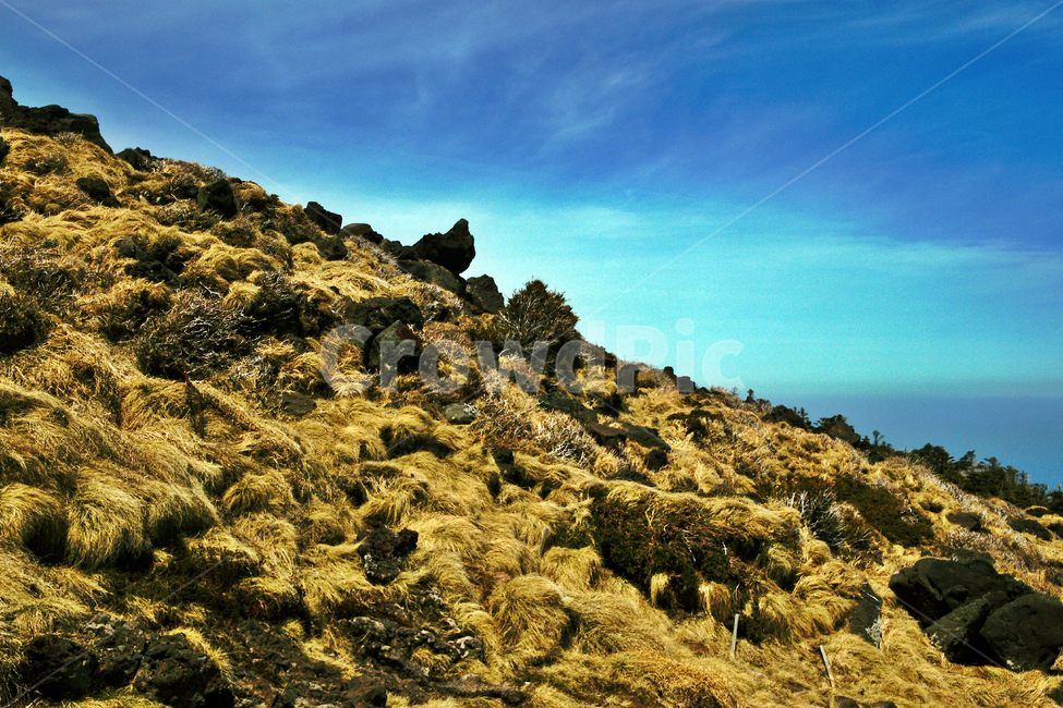 화산암,기암괴석,한라산,제주도,한라산국립공원,암석,푸른하늘
