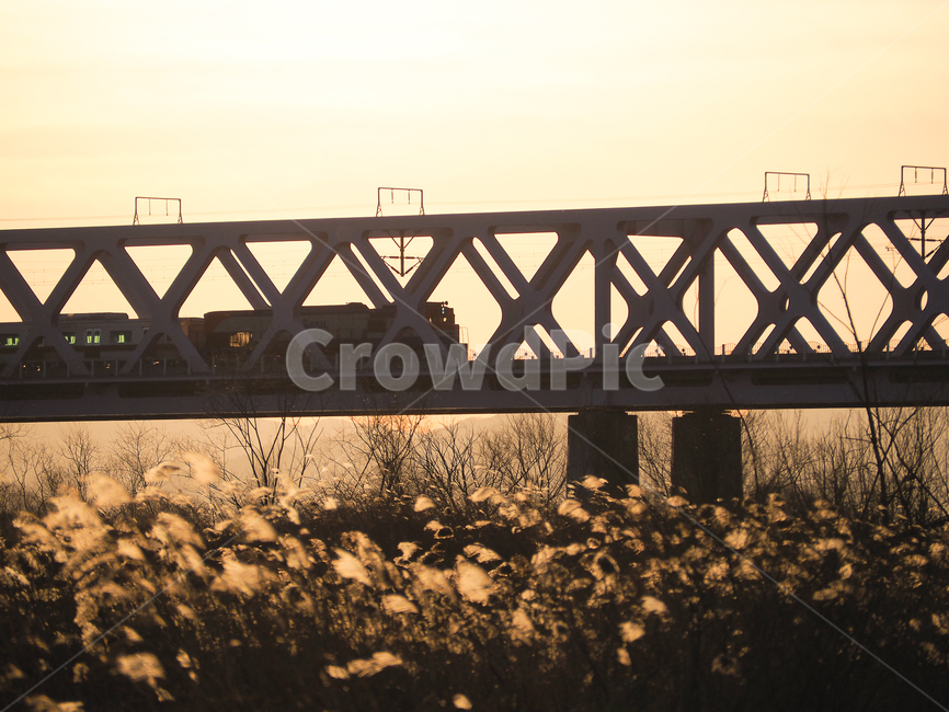 삼랑진,열차,트레인,노을,갈대,가을,계절,fall,autumn,season,교통,교통수단,traffic,transportation,bridge,다리,building,건물