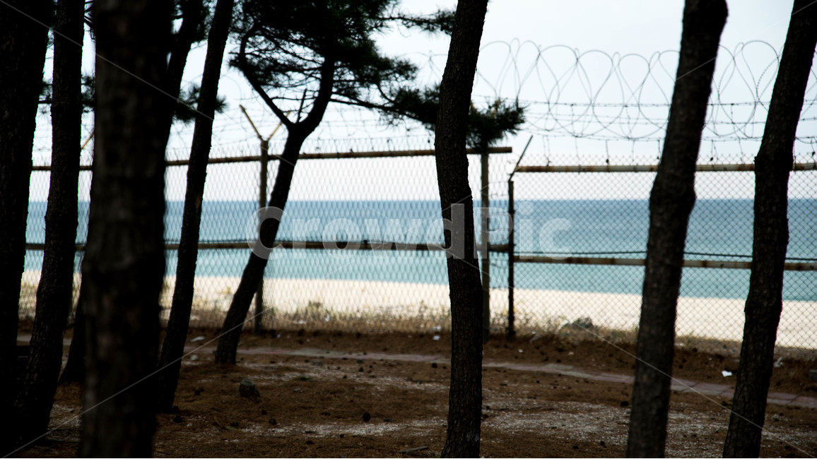 철조망,바다,나무들,분단,푸르름,자연,풍경,nature,landscape,해변,바다,beach,sea,식물,plants,나무,trees,wood