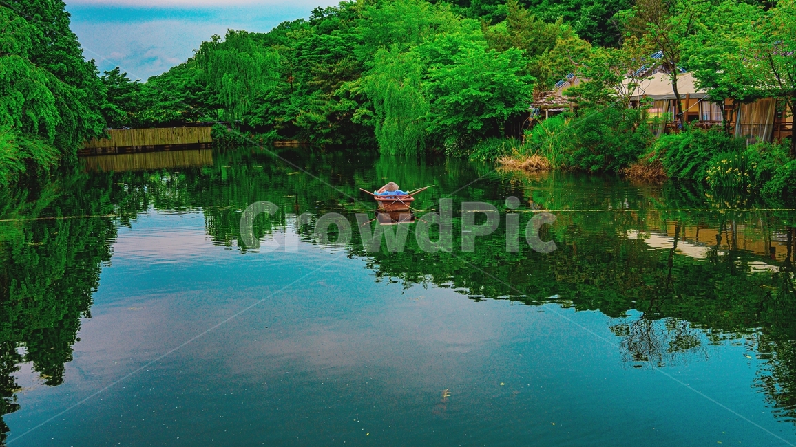 강,나무,배,하늘,구름,자연,풍경,nature,landscape,water,물,outdoors,옥외