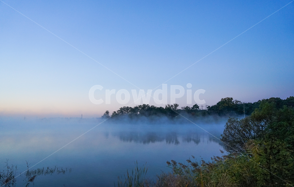 호수,저수지,안개,물안개,새벽,여명,풍경,자연,자연,풍경,nature,landscape,outdoors,옥외,weather,날씨