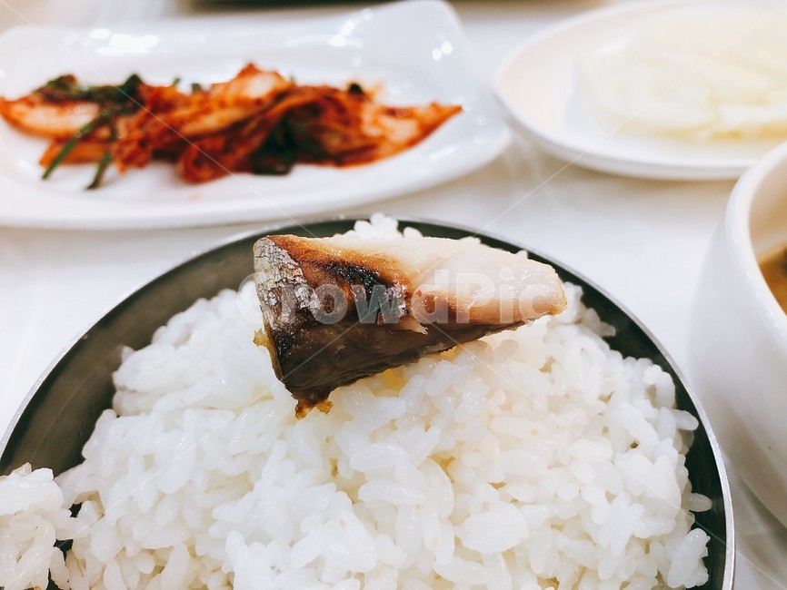 흰밥,고등어,접사,식사,반찬
