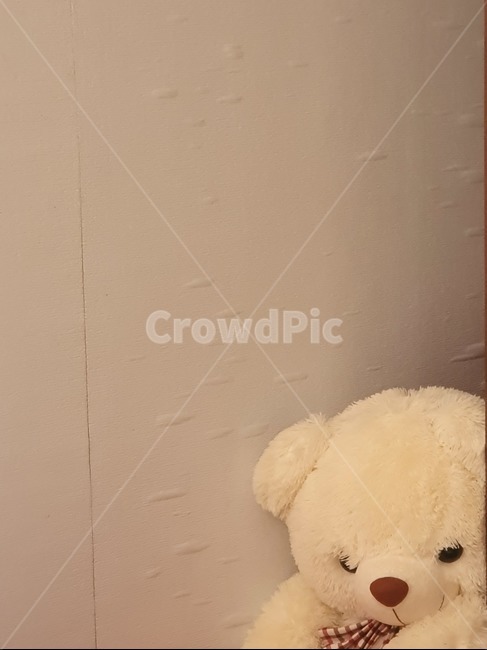인형,벽,방,곰인형,벽지