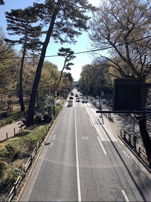 도로,2차선,풍경,차,길,찻길,신호,road,3차선,도쿄,육교위,자연,풍경,nature,landscape,asphalt,아스팔트,freeway,고속 도로