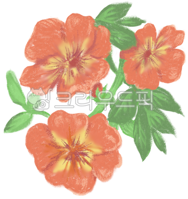 능소화,꽃,flower,식물,능소화일러스트,꽃일러스트