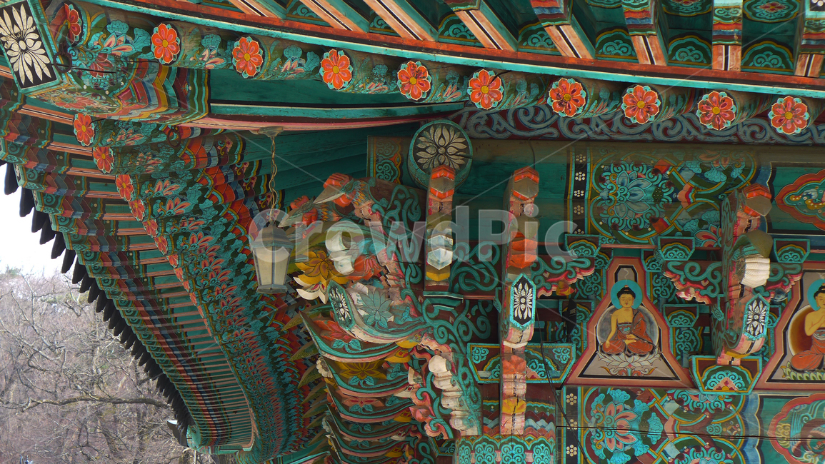 절,사찰,색,화려한,전통,조화,건축물,temple,건물,종교