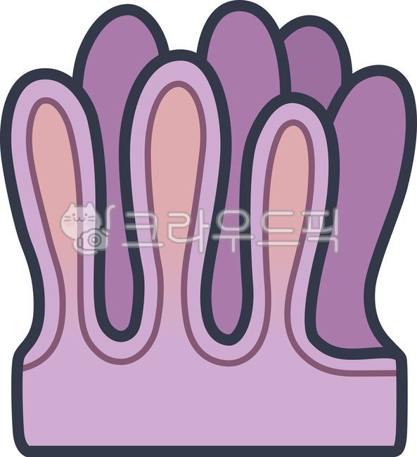 융털,소장,흡수,영양분,세포,생물학,의학,과학,현미경,내장,조직,소화과정,소화계통,신체조직,생물