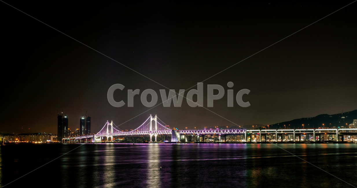 대한민국,바다,야경,불빛,건물,lighting,조명,building